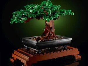 Creator Bonsai Baum