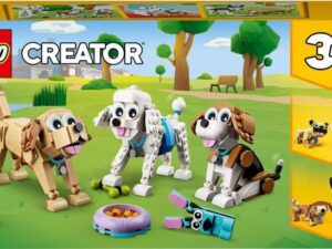 Creator Niedliche Hunde