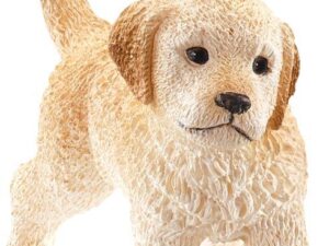 Golden Retriever Welpe