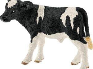 Kalb Schwarzbunt