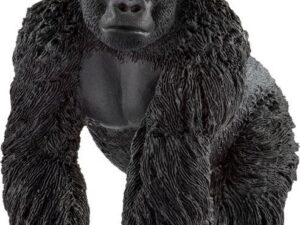 Gorilla Männchen