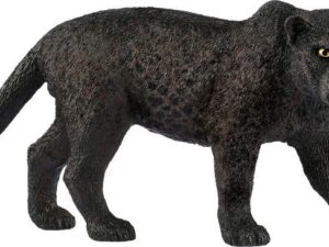 Schwarzer Panther