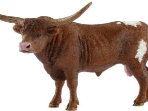 Texas Longhorn Bulle