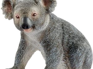 Koalabär