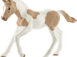 HC Paint Horse Fohlen