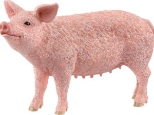 Schwein