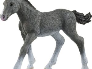 Trakehner Fohlen