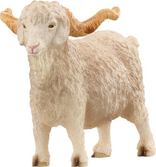 Angoraziegenbock