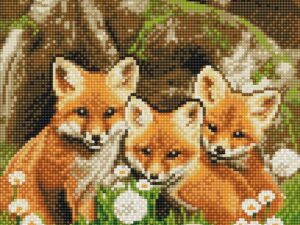Crystal Art Fuchswelpen 30x30 cm